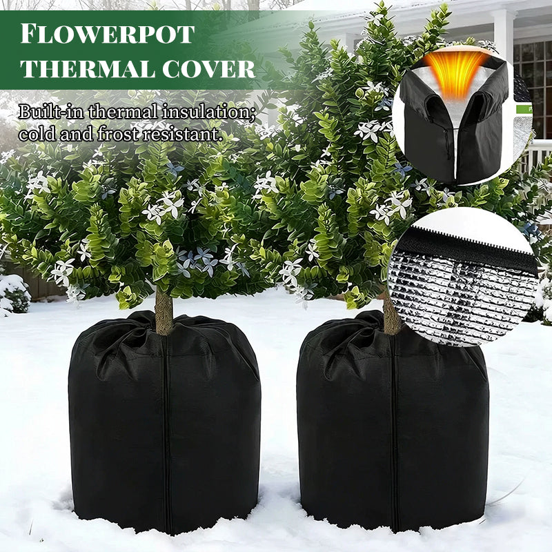 Insulated frost covers protecting potted shrubs in a snowy garden
