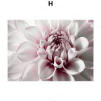 Pink Peony Canvas Print – Unframed Wall Art – image 3