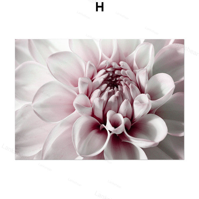Pink Peony Canvas Print – Unframed Wall Art – image 3