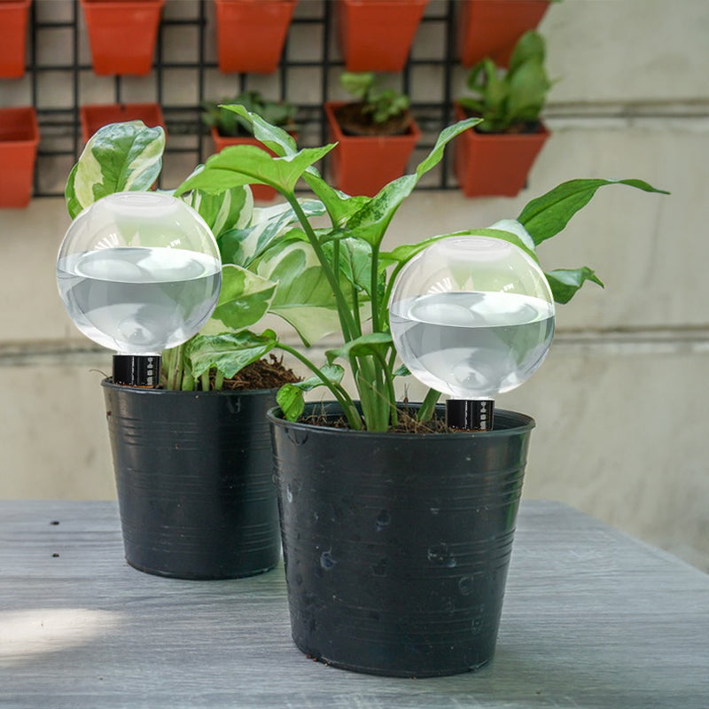 Self-Watering Plant Globes (5-Pack, 500ml) – image 2