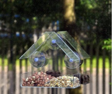 Window bird feeder filled with seed on a window