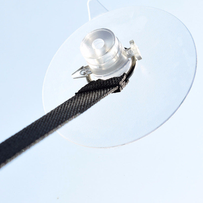 Cat window hammock suction cup fixed to glass
