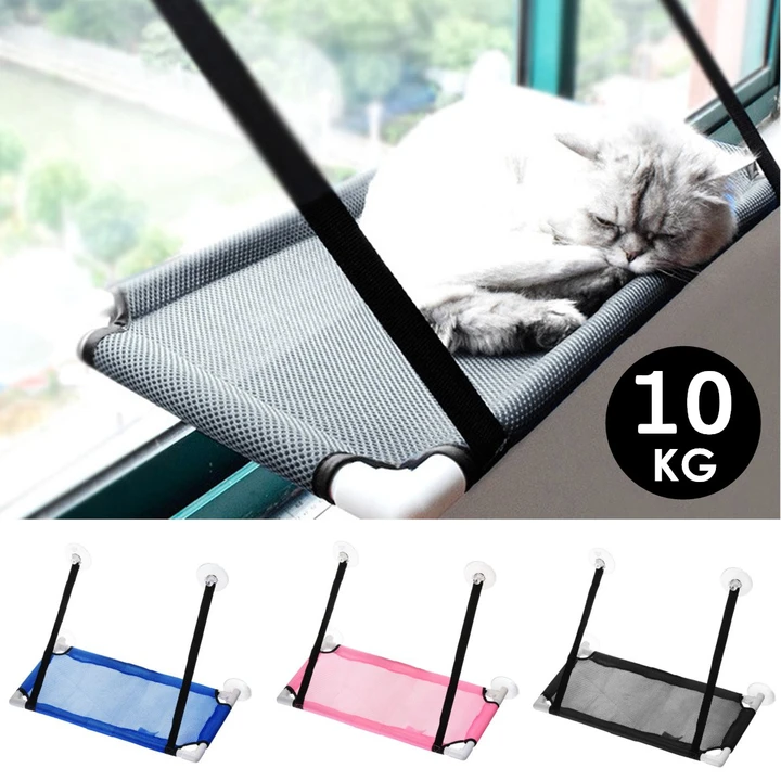 Cat sleeping in a suction cup window hammock