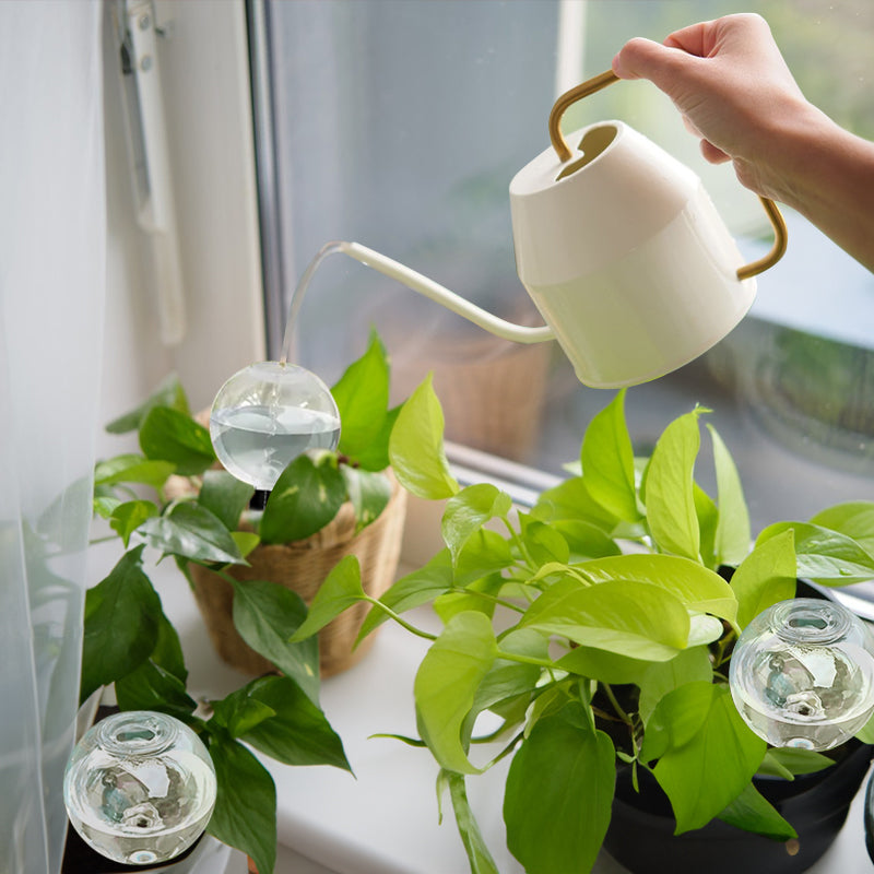 Self-Watering Plant Globes (5-Pack, 500ml)