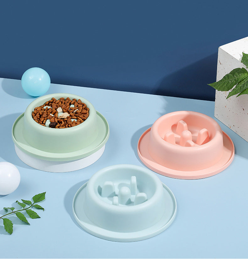 Cat & Dog Slow Feeder Bowl
