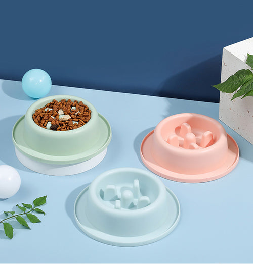 Cat & Dog Slow Feeder Bowl