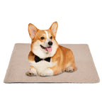 Self-Heating Pet Mat – No Electricity Needed (95 x 65 cm) – image 5