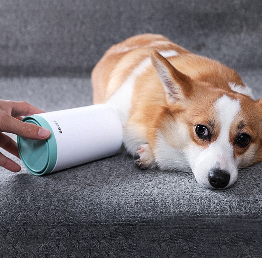 Dog relaxing after a paw clean with the paw cleaner cup