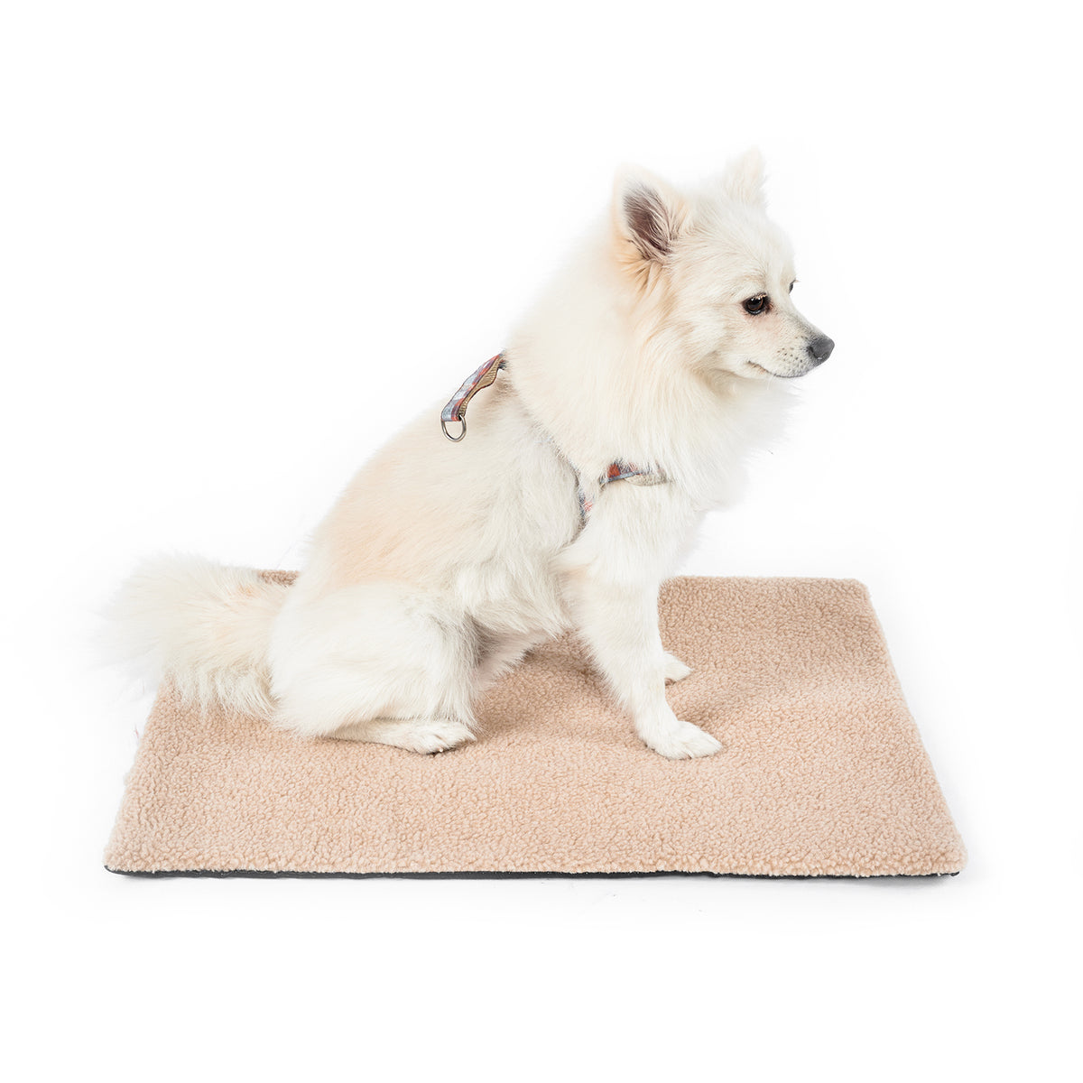 Self-Heating Pet Mat – No Electricity Needed (95 x 65 cm) – image 4