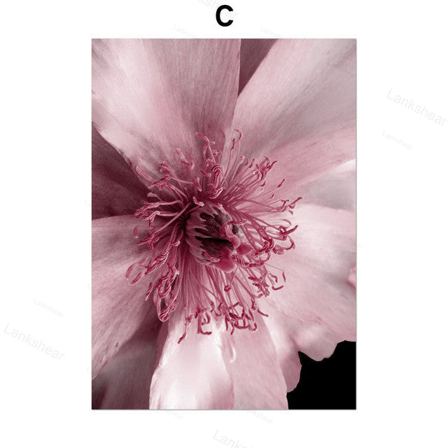 Pink Peony Canvas Print – Unframed Wall Art – image 2