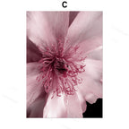 Pink Peony Canvas Print – Unframed Wall Art – image 2
