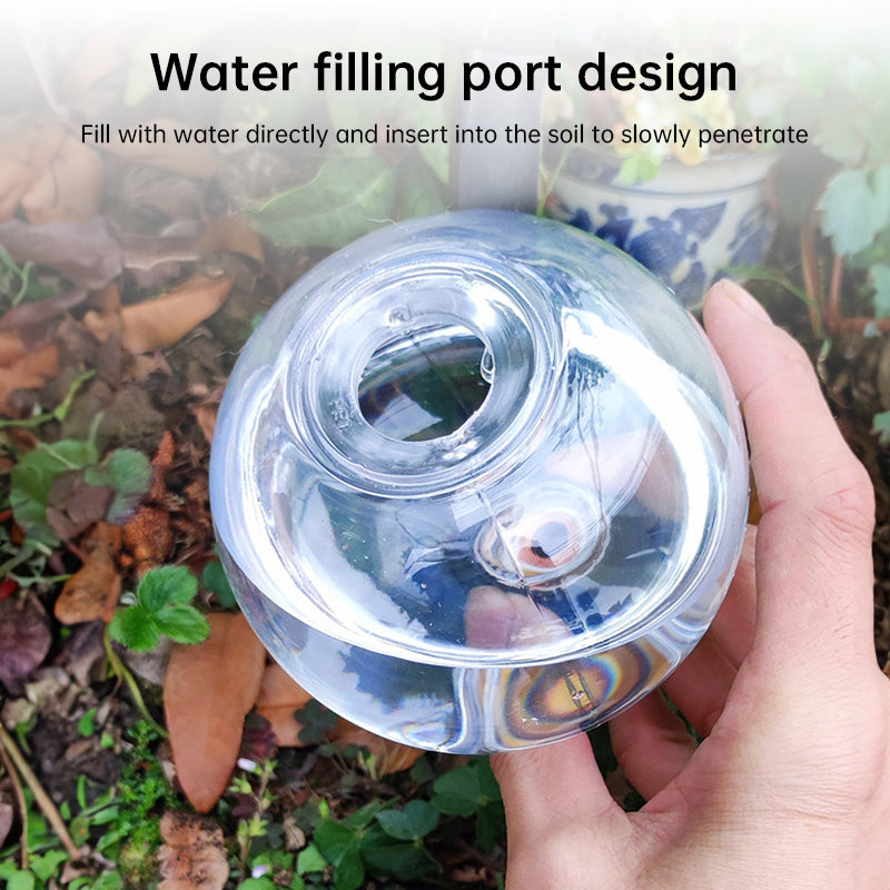 Self-Watering Plant Globes (5-Pack, 500ml) – image 6