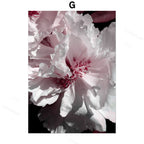 Pink Peony Canvas Print – Unframed Wall Art – image 8