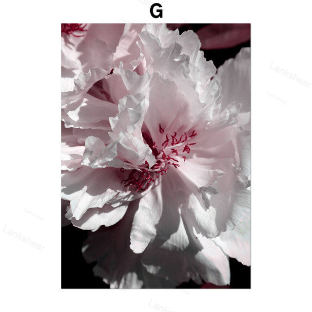 Pink Peony Canvas Print – Unframed Wall Art – image 8