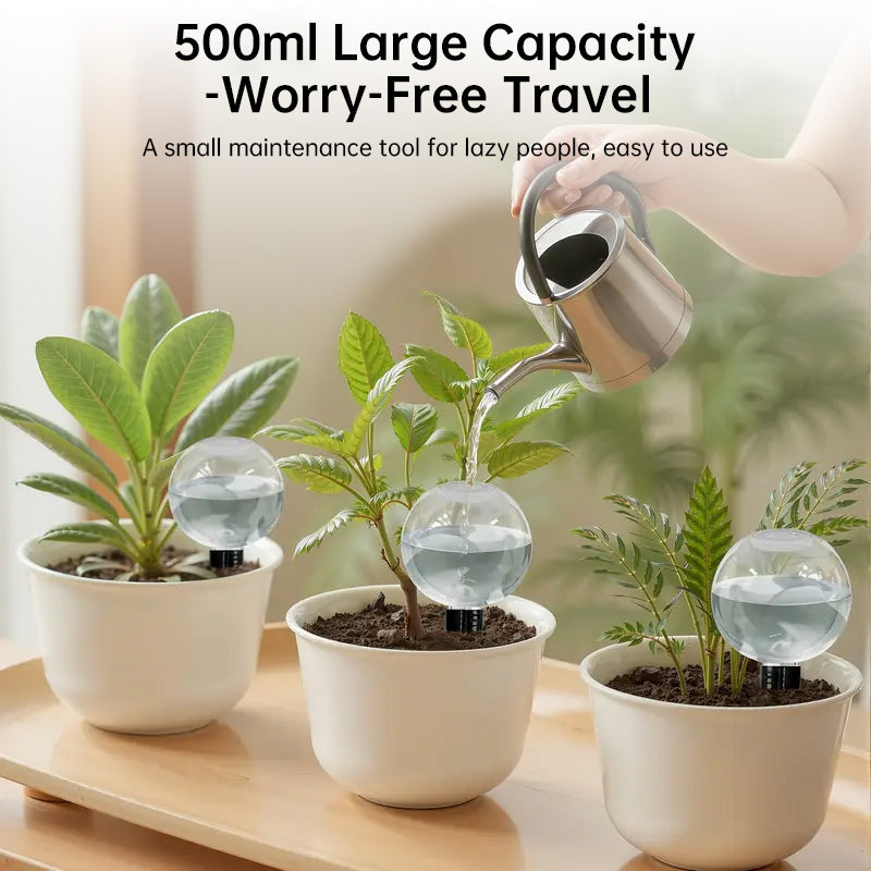 Self-Watering Plant Globes (5-Pack, 500ml) – image 8