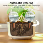 Self-Watering Plant Globes (5-Pack, 500ml) – image 4