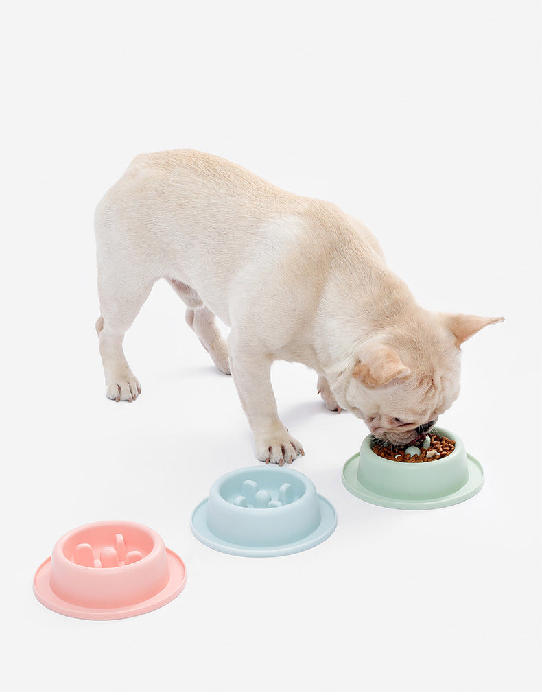Cat & Dog Slow Feeder Bowl – image 2