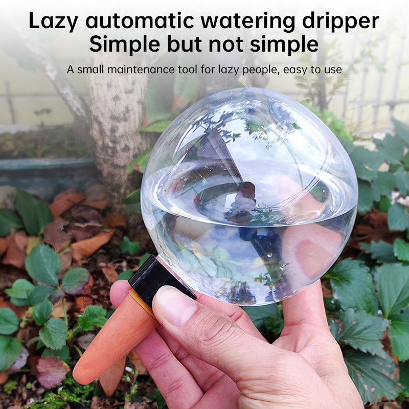 Self-Watering Plant Globes (5-Pack, 500ml) – image 10