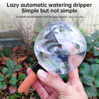 Self-Watering Plant Globes (5-Pack, 500ml) – image 10