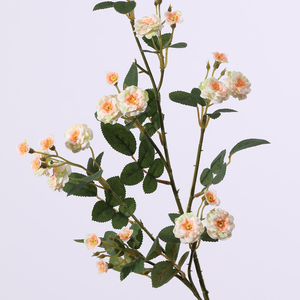 Artificial Multi-Head Rose Stem – Champagne