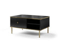 Maison Black & Gold Coffee Table with Storage